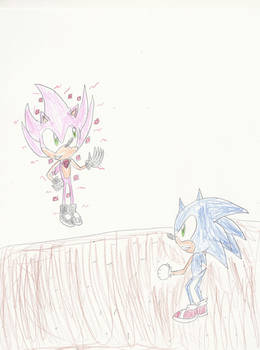 VS Sonic Black