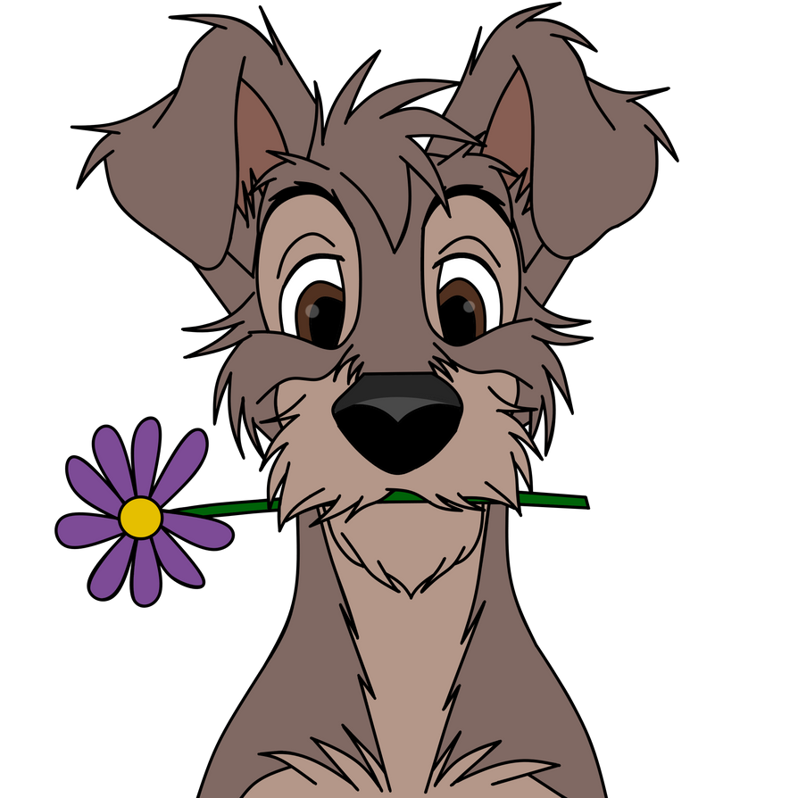Adult Scamp by Blue-TheBlackWolf on DeviantArt
