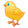 Chick (PNG)