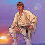 Luke Skywalker