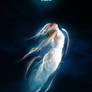 Falling star