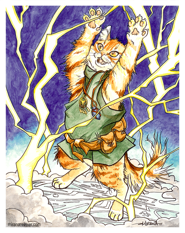 Cat Wizard