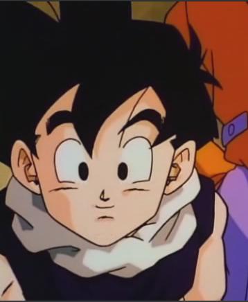 Gohan 7