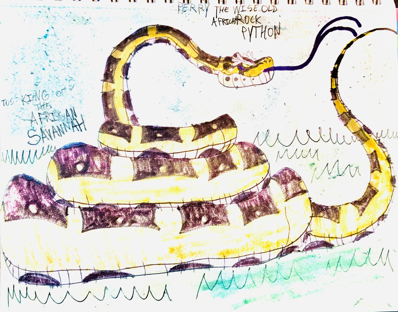 PERRY The Wise old African Rock Python by masonmdaythetrex on DeviantArt