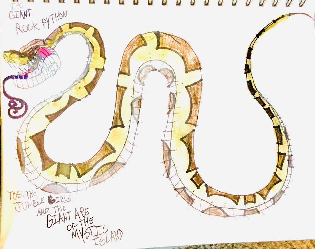 The Giant Rock Python by masonmdaythetrex on DeviantArt