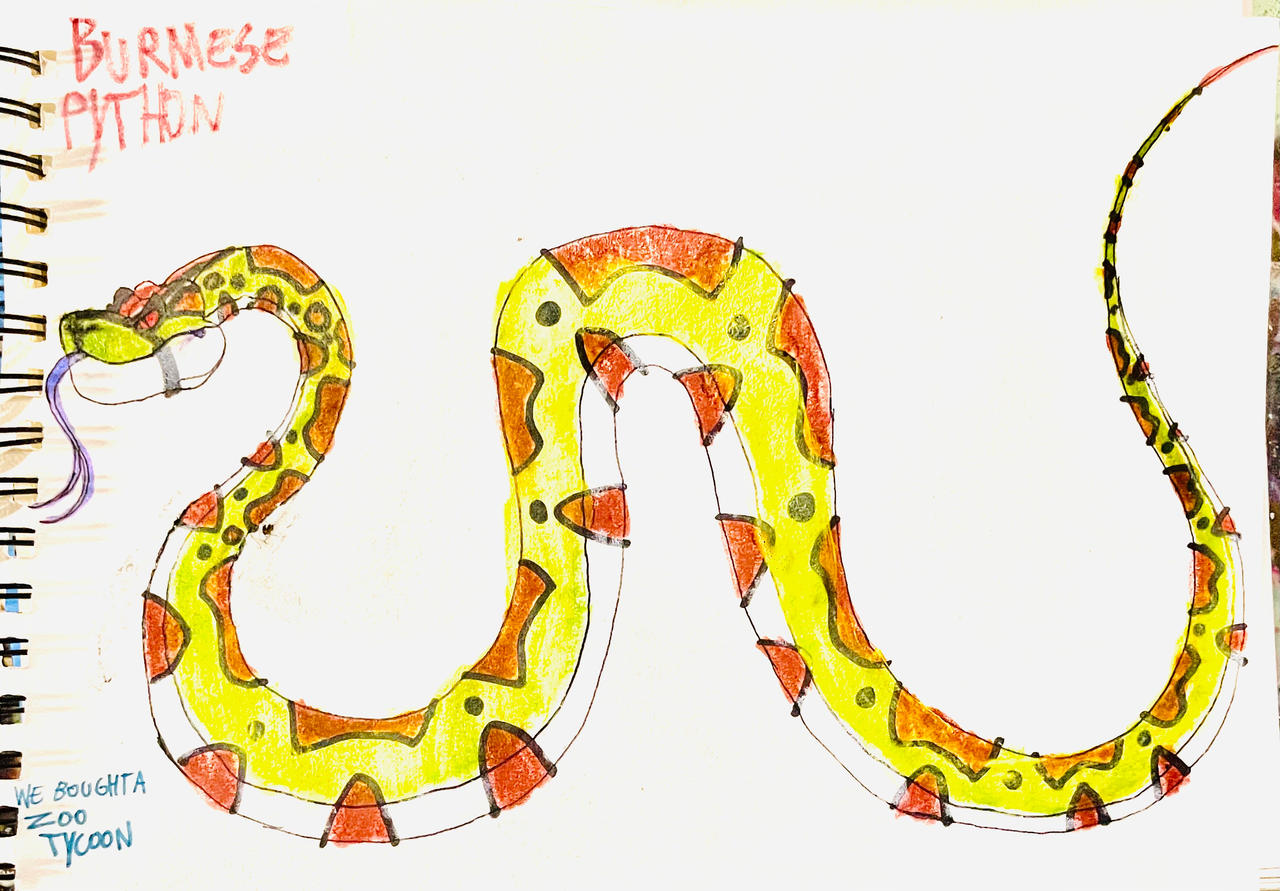 BURMESE PYTHON by masonmdaythetrex on DeviantArt