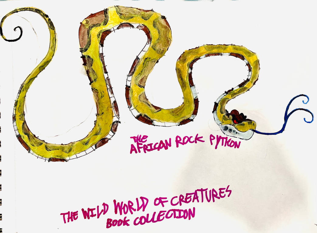 THE AFRICAN ROCK PYTHON by masonmdaythetrex on DeviantArt