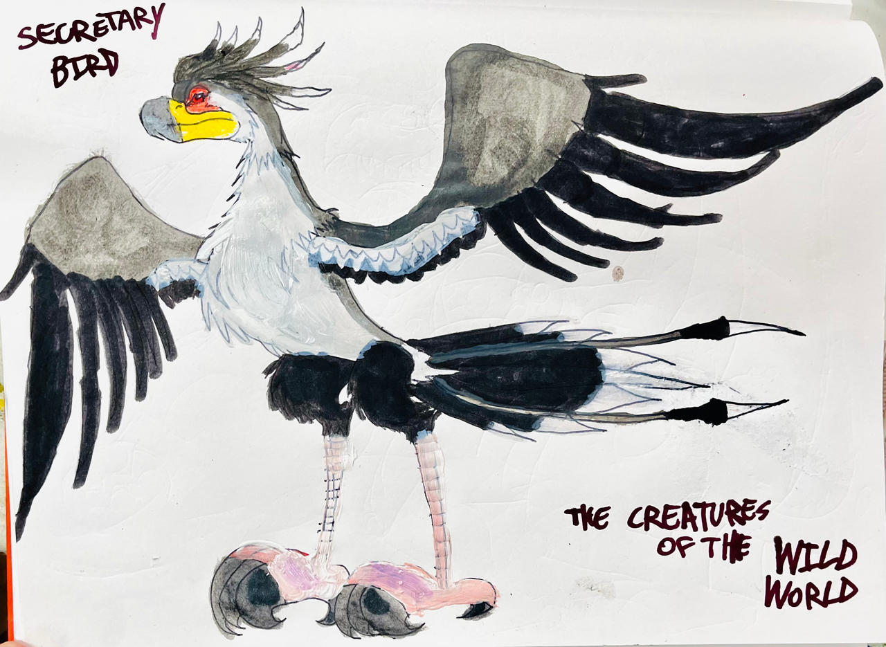 Turtle Secretary SECRETARY BIRD by masonmdaythetrex on DeviantArt