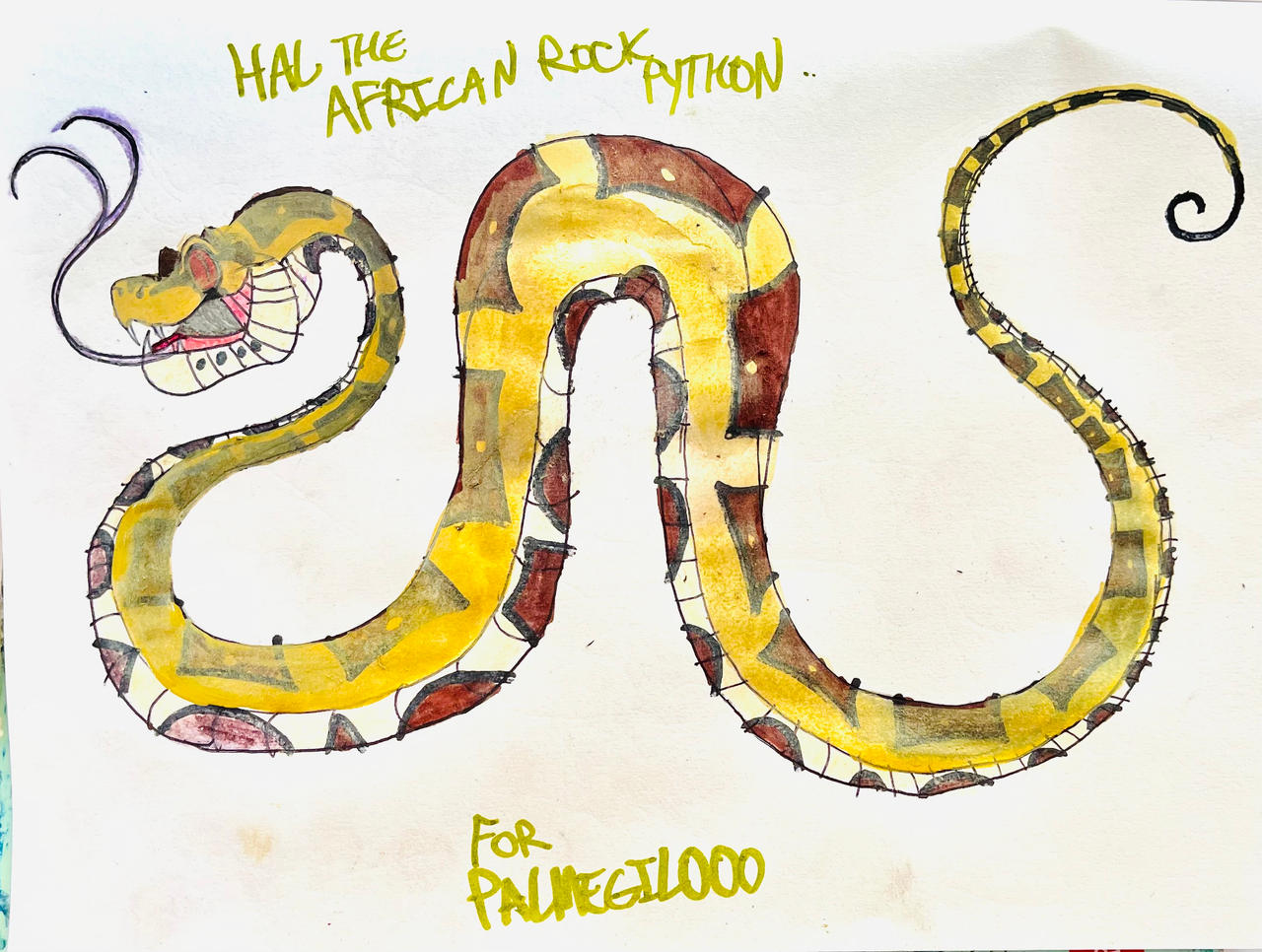 Hal the African Rock Python by masonmdaythetrex on DeviantArt