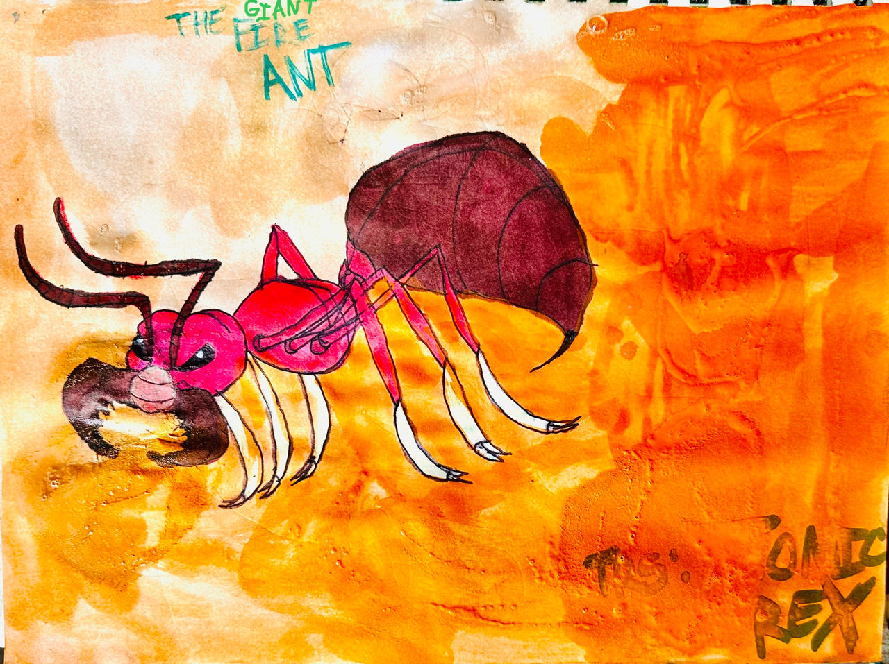The Giant Fire Ant by masonmdaythetrex on DeviantArt