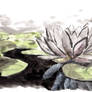 Japanese lotus