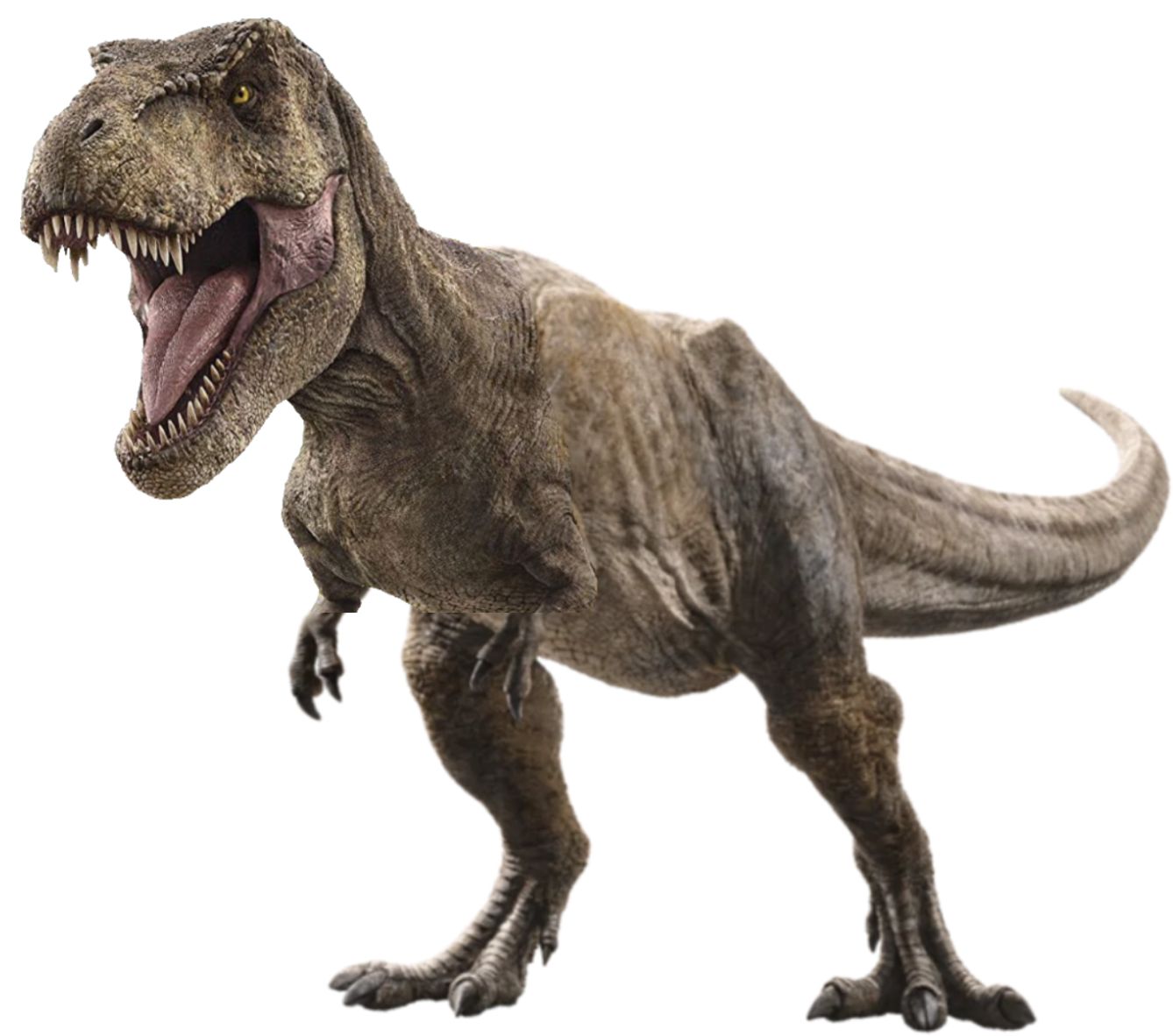 Rexy ( Jurassic world dominion ) by Carlogutierrezjr on DeviantArt