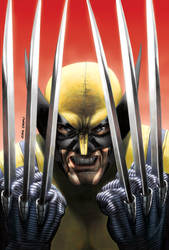 Wolverine painted version