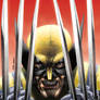 Wolverine painted version