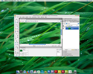 Leopard Desktop
