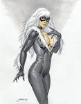 BlackCat commission by PaulAbrams