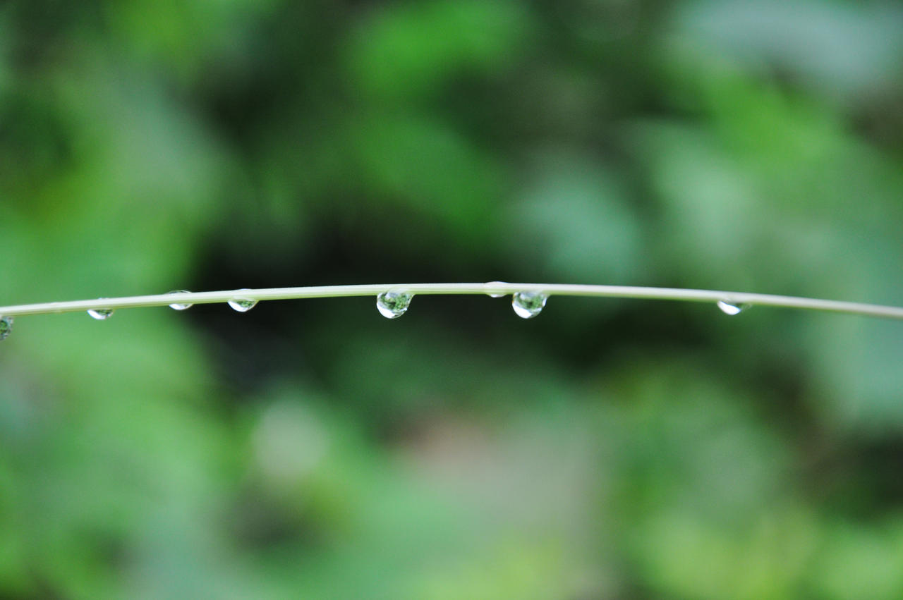 Waterdrops