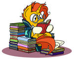 Book Horse