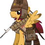 Soldiers Ponies - Shiro Tai