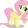 Fluttershy #4