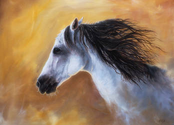 Andalusian Horse Oil Painting