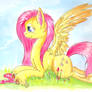 fluttershy painting