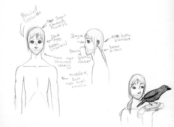 Raven reference sketches by ThE-ReD-MuTT on DeviantArt