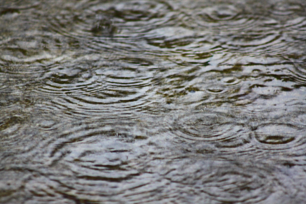 Puddle splutter by EileahThiaBea on DeviantArt