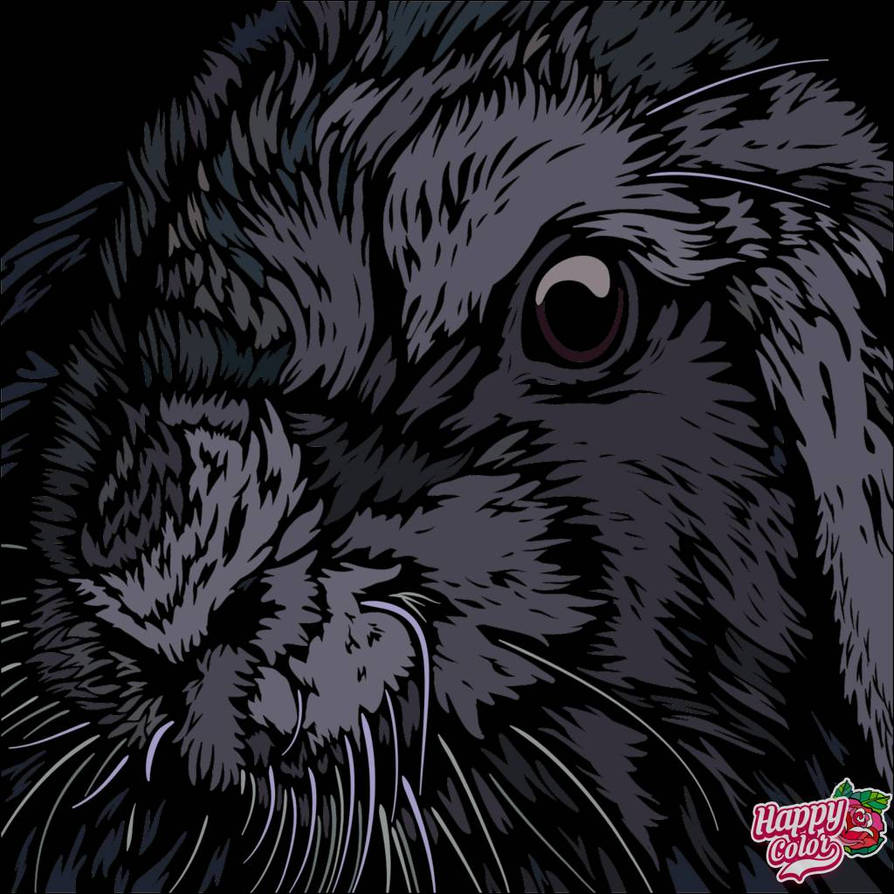 Midnight Rabbit by fabrhea556 on DeviantArt