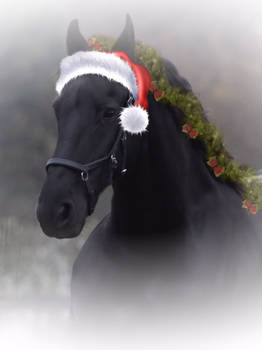 My Christmas Horse Wietske fan Arummieden