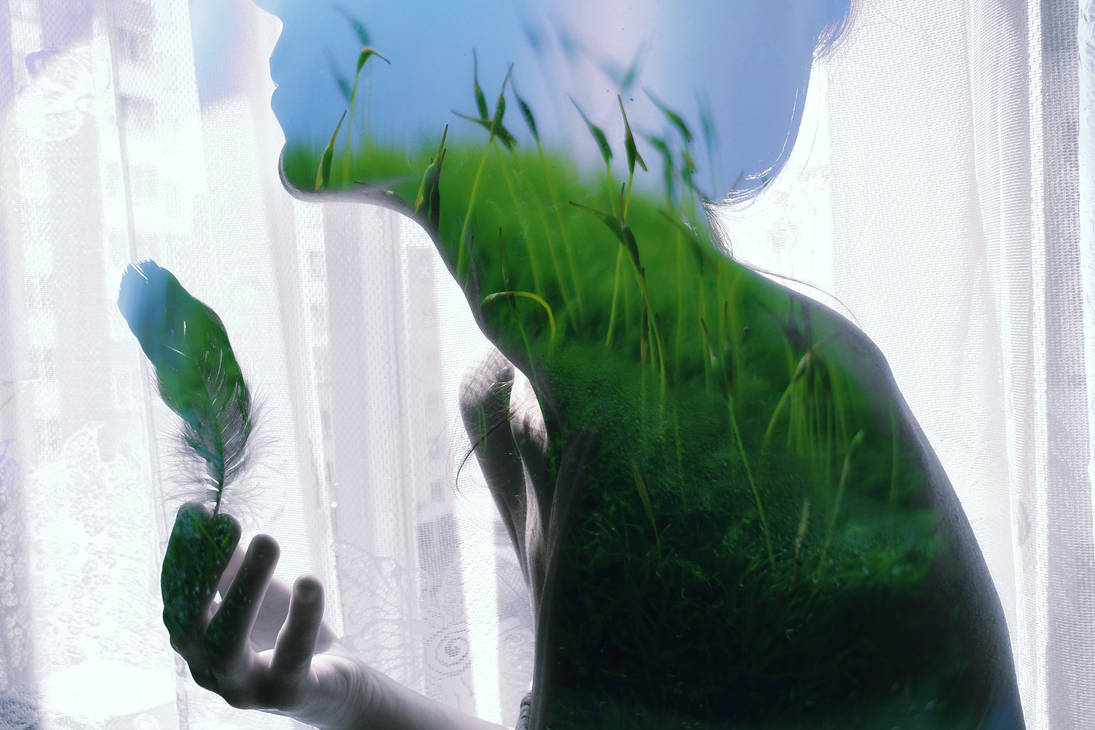 whispering of grasses by FokkusuNM whispering of grasses by FokkusuNM