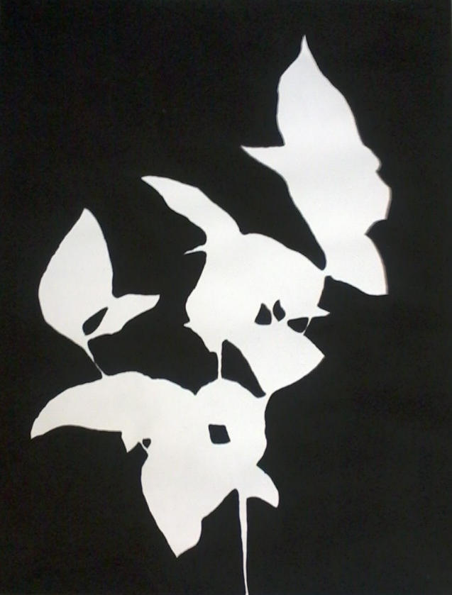Positive, Negative Space Plant by lilaxczarina on DeviantArt