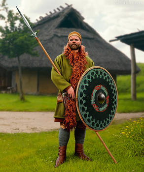 Danish warrior from Hedeby