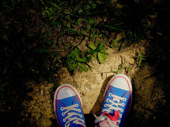 converse...