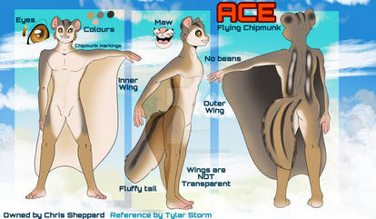 Ace the Flying Chipmunk - Ref. Sheet by TylarStorm