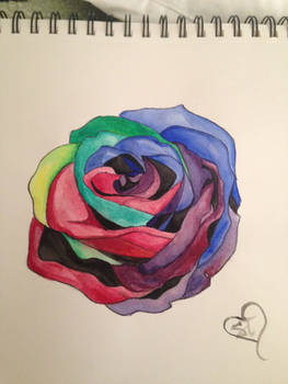 Watercolor rose