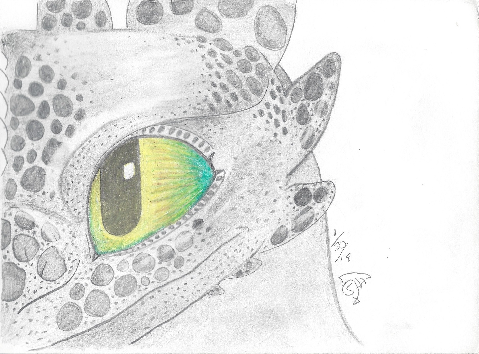 Toothless Side Profile by Owliartist on DeviantArt