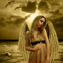 Lost Angel