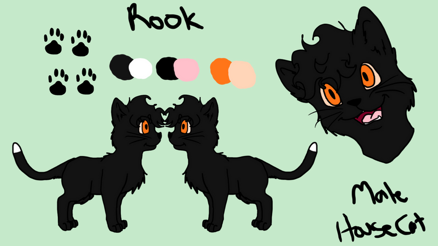 Rook Ref by allissajoanne4 on DeviantArt