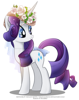 Lady Rarity