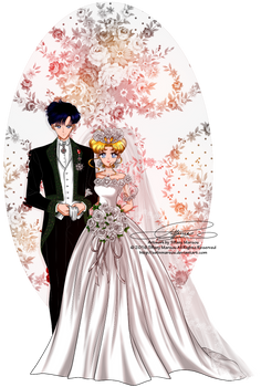 Wedding Day - Usagi and Mamoru