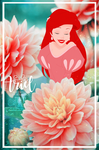 Ariel with dahlias