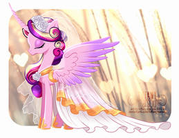 Cadence