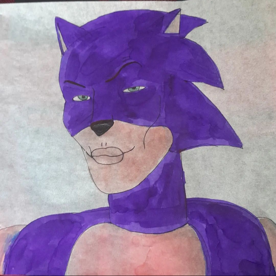 Sonic the rizzhog by BlueFlameStudios on DeviantArt