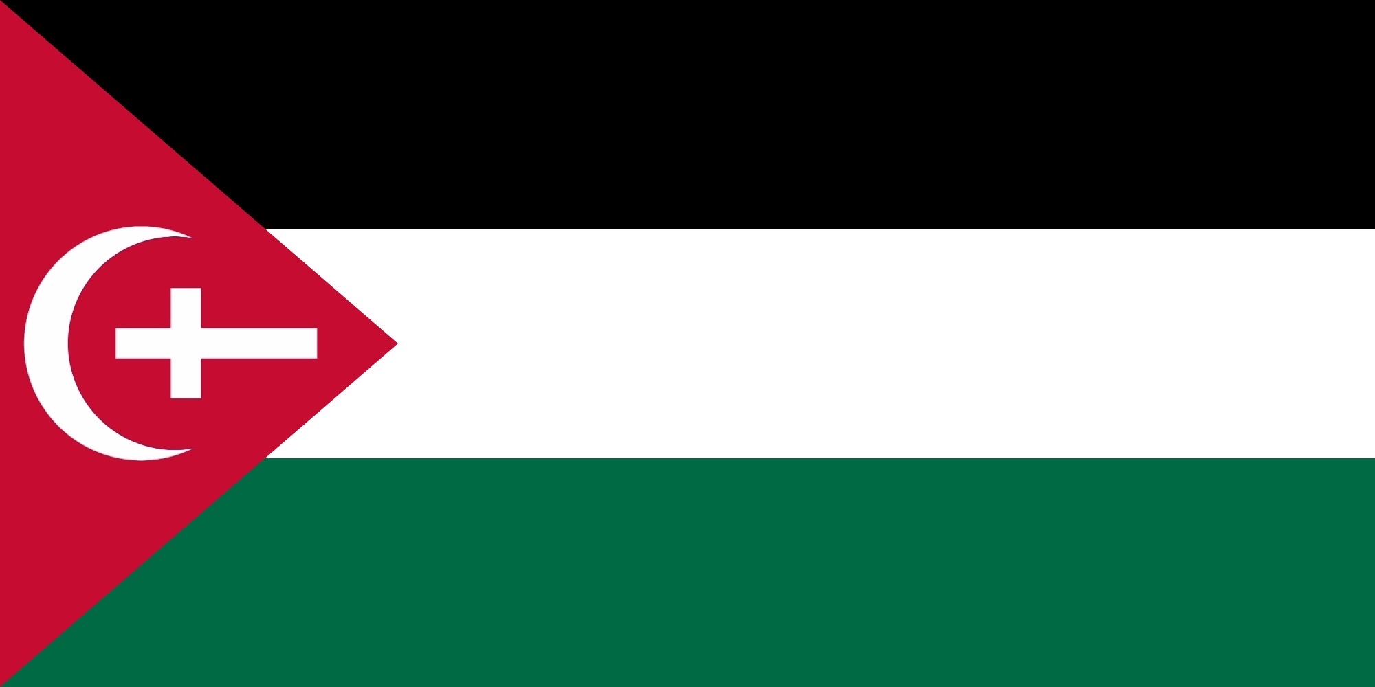 Flag of North Palestine by BlueFlameStudios on DeviantArt