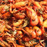 Crawfish