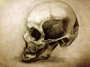 scull