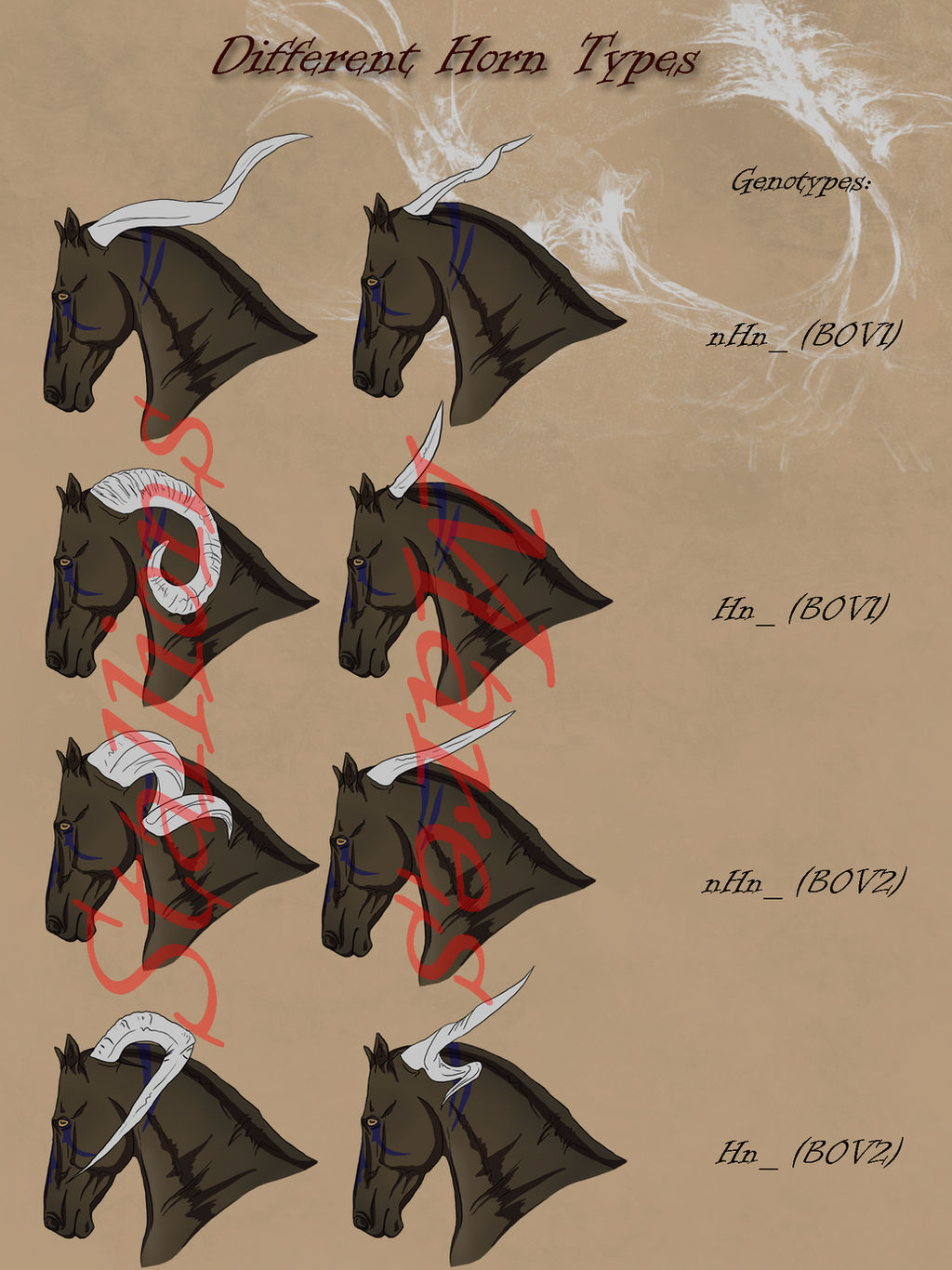 Dragonborn Types Dragonborn Horse_Horn Types by CalyArt on DeviantArt