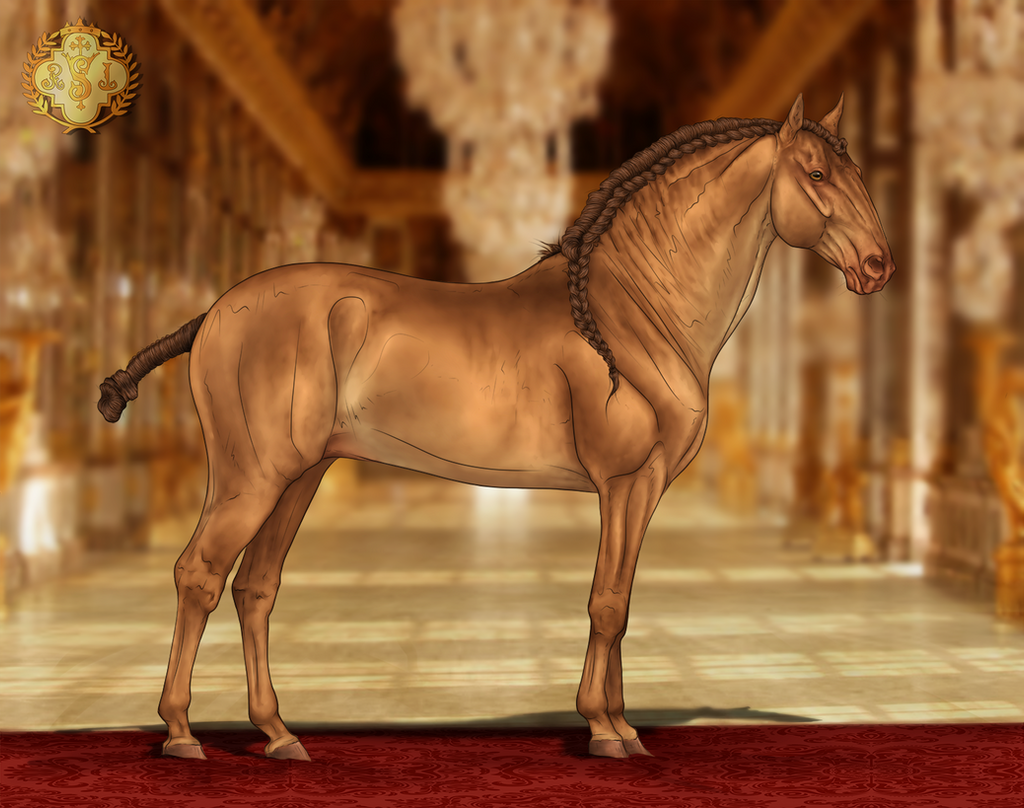 RSI Dragao do Royal by CalyArt