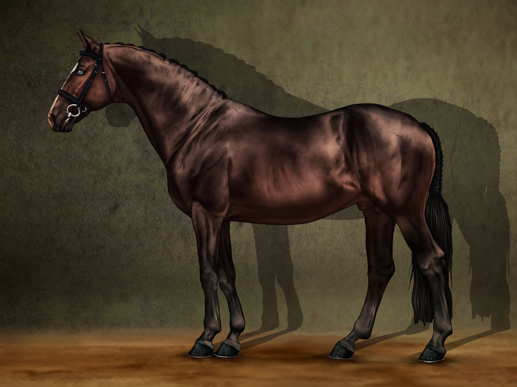 SWS Quickfire by CalyArt